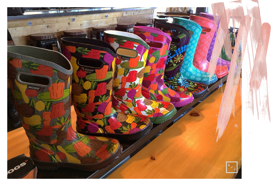 Summit de Bogs des bottes lavablesLe blogue de Julie Lafrance